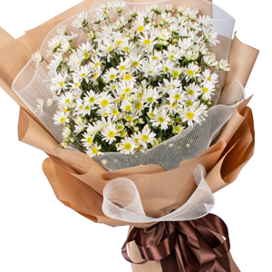 Khuyến mãi - Mùa hoạ mi - 10809