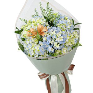 Bó hoa tươi - Cẩm tú cầu và em - 15296